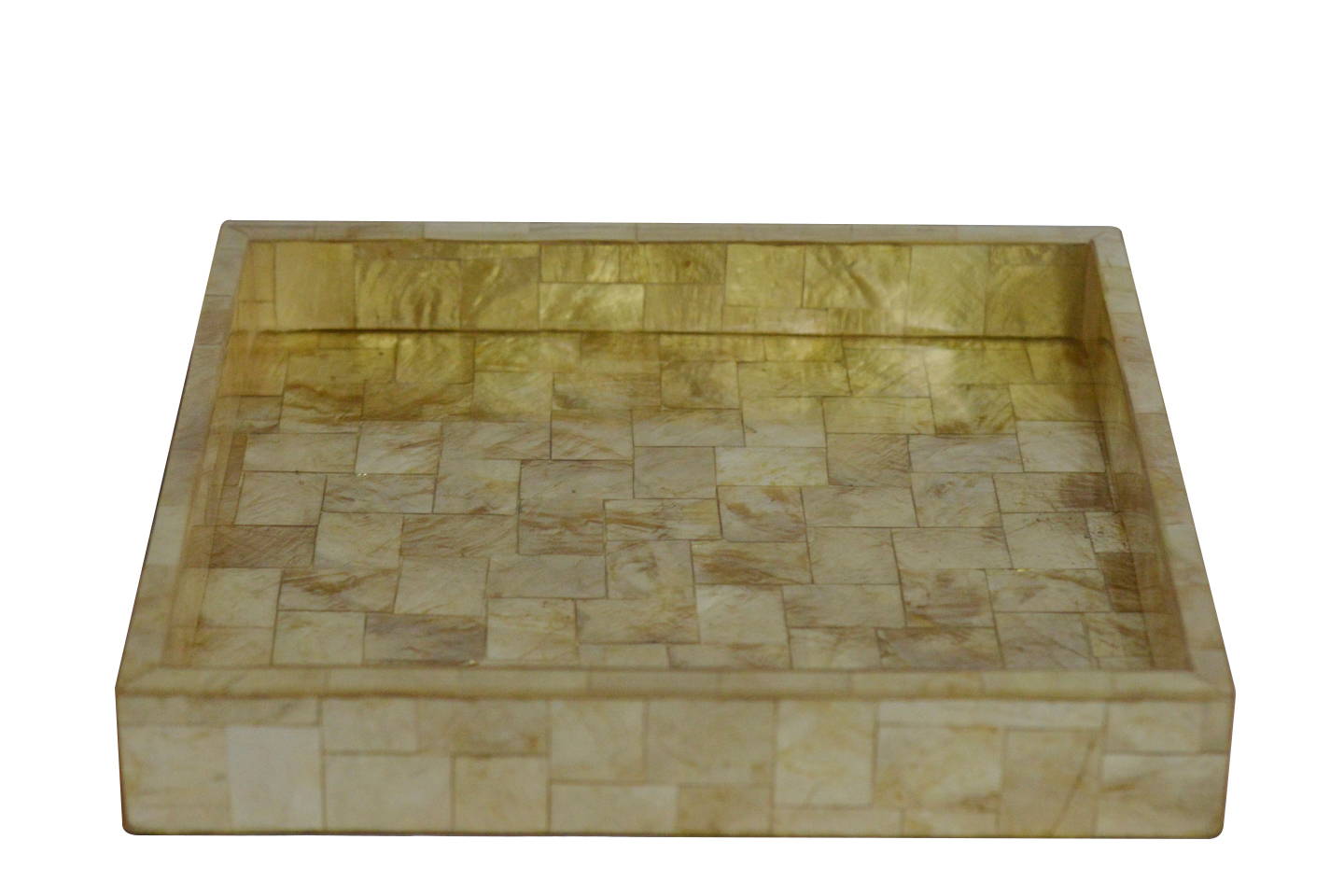 Big Tray photo 2