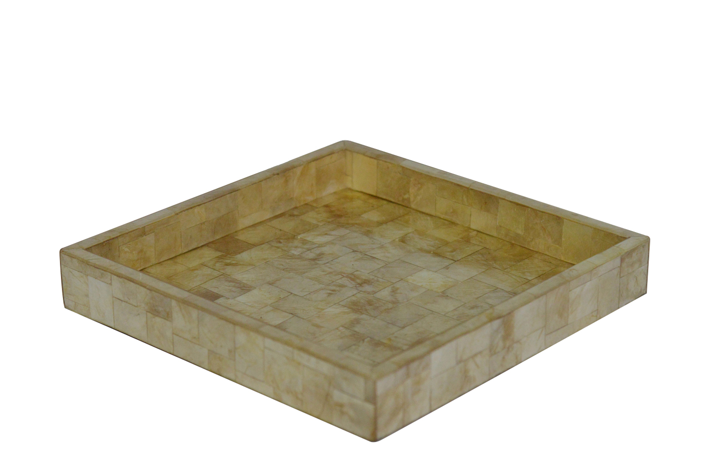 Big Tray photo 1