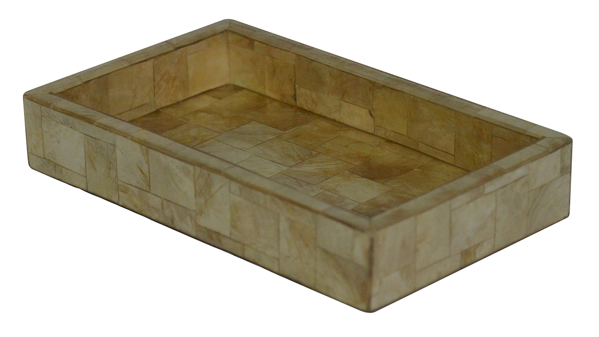 Big Tray photo 1